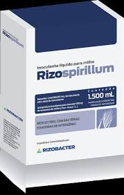 Rizospirilum - 0